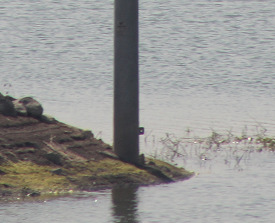 project-slider-image